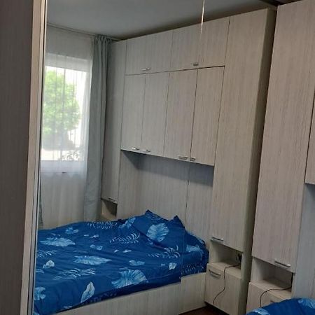 Cozy Nest Apartment Sinnicoara ภายนอก รูปภาพ