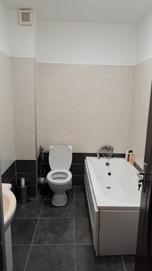 Cozy Nest Apartment Sinnicoara ภายนอก รูปภาพ
