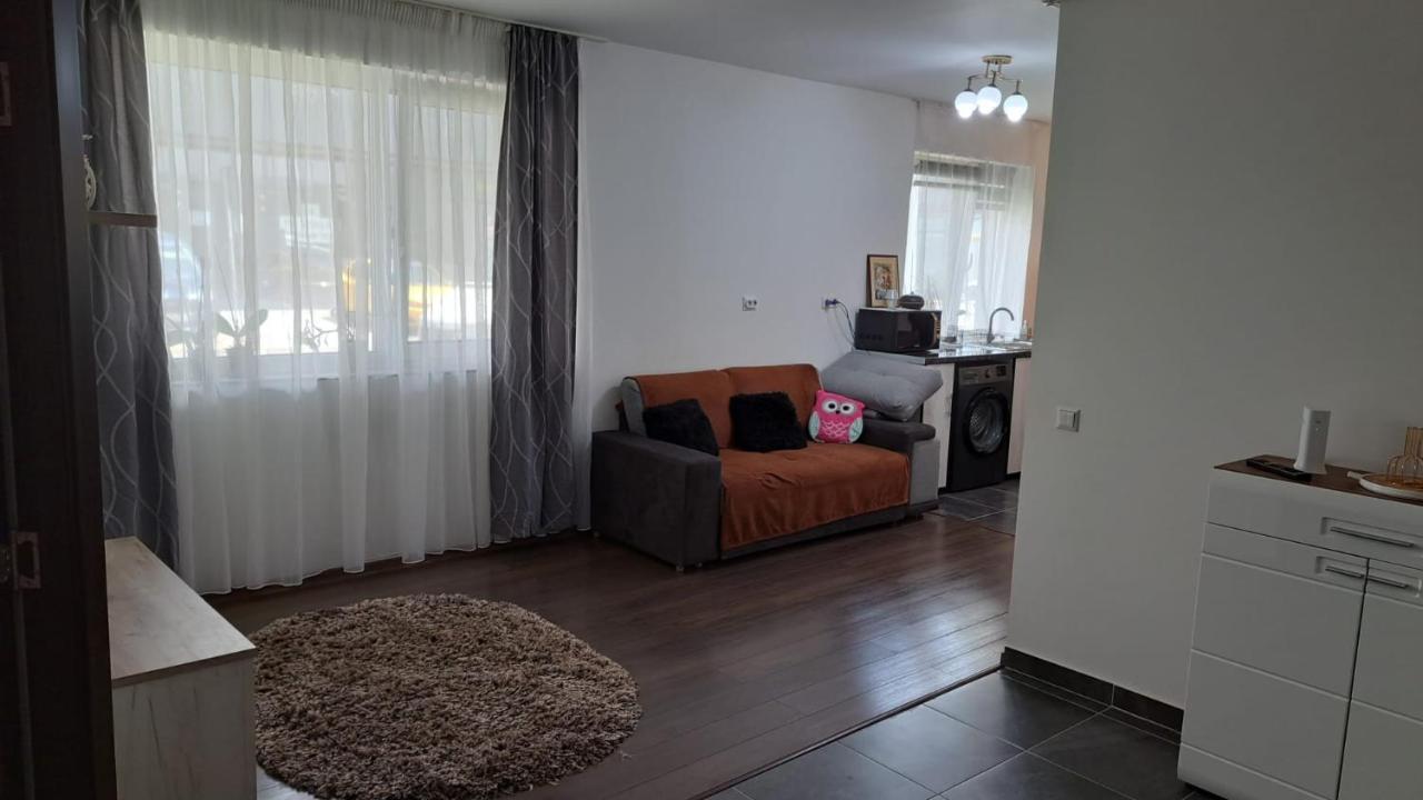 Cozy Nest Apartment Sinnicoara ภายนอก รูปภาพ