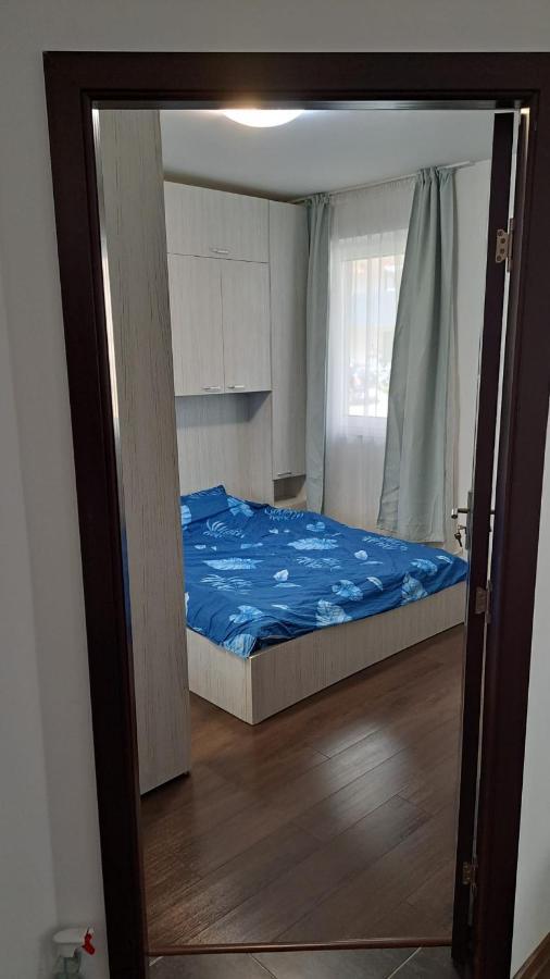 Cozy Nest Apartment Sinnicoara ภายนอก รูปภาพ