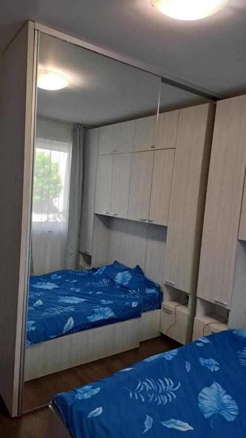 Cozy Nest Apartment Sinnicoara ภายนอก รูปภาพ